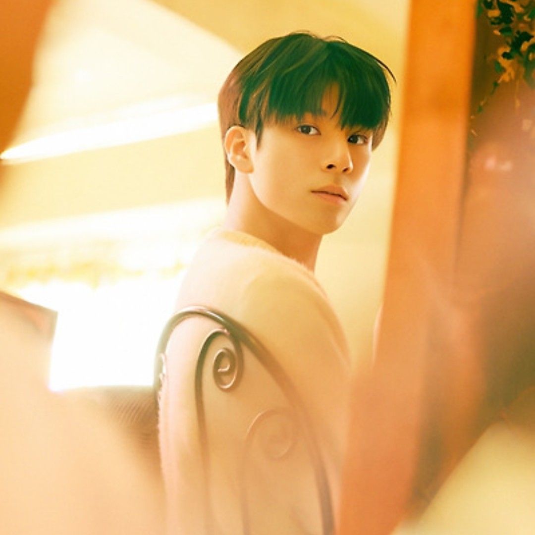 鄭東元的最新照片