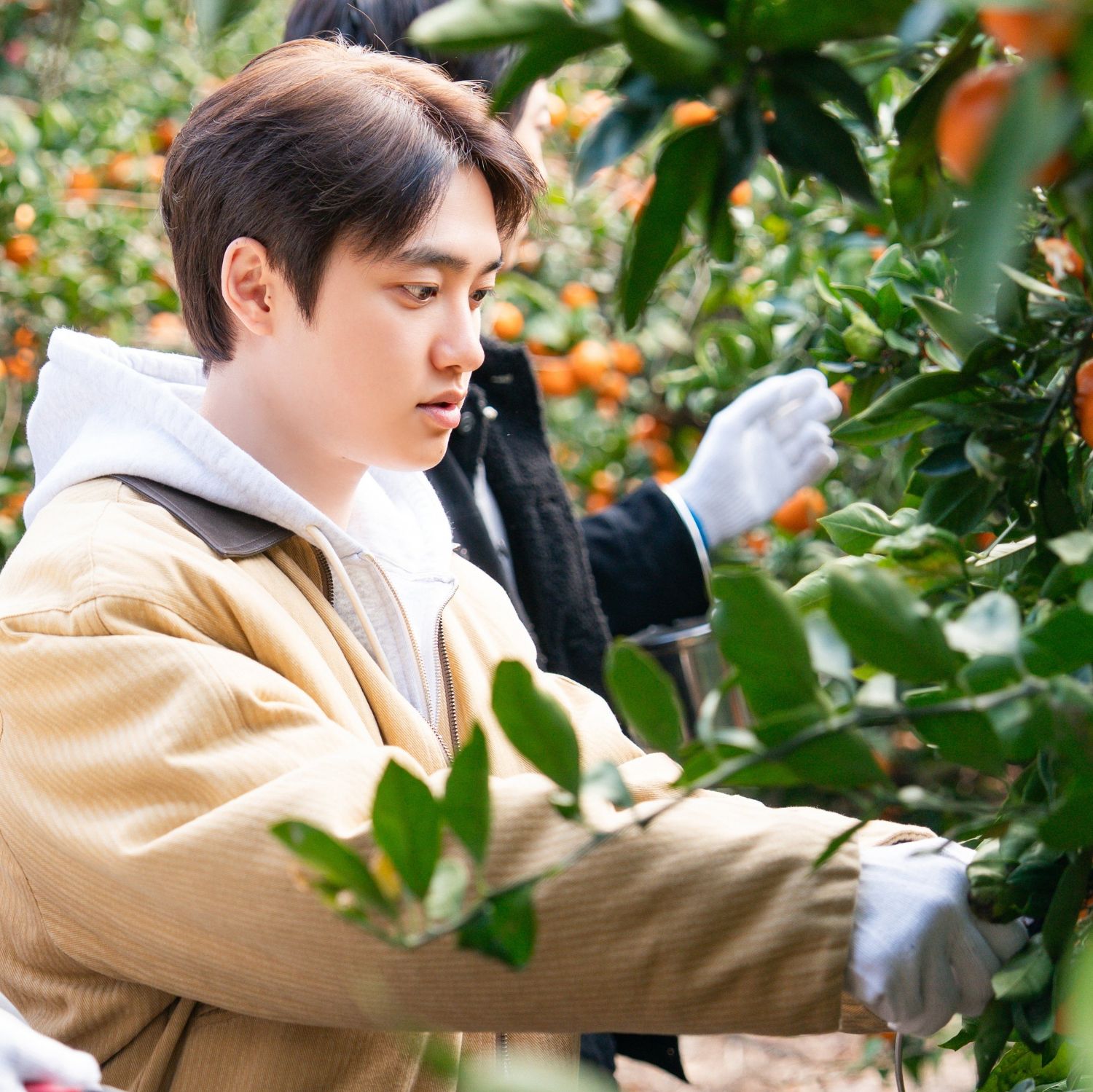 都暻秀 (D.O.)的近期活动照