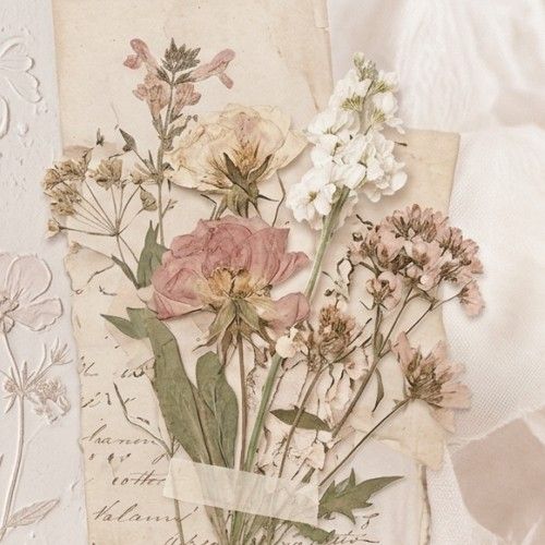 Recent activity shot of Chae Soobin