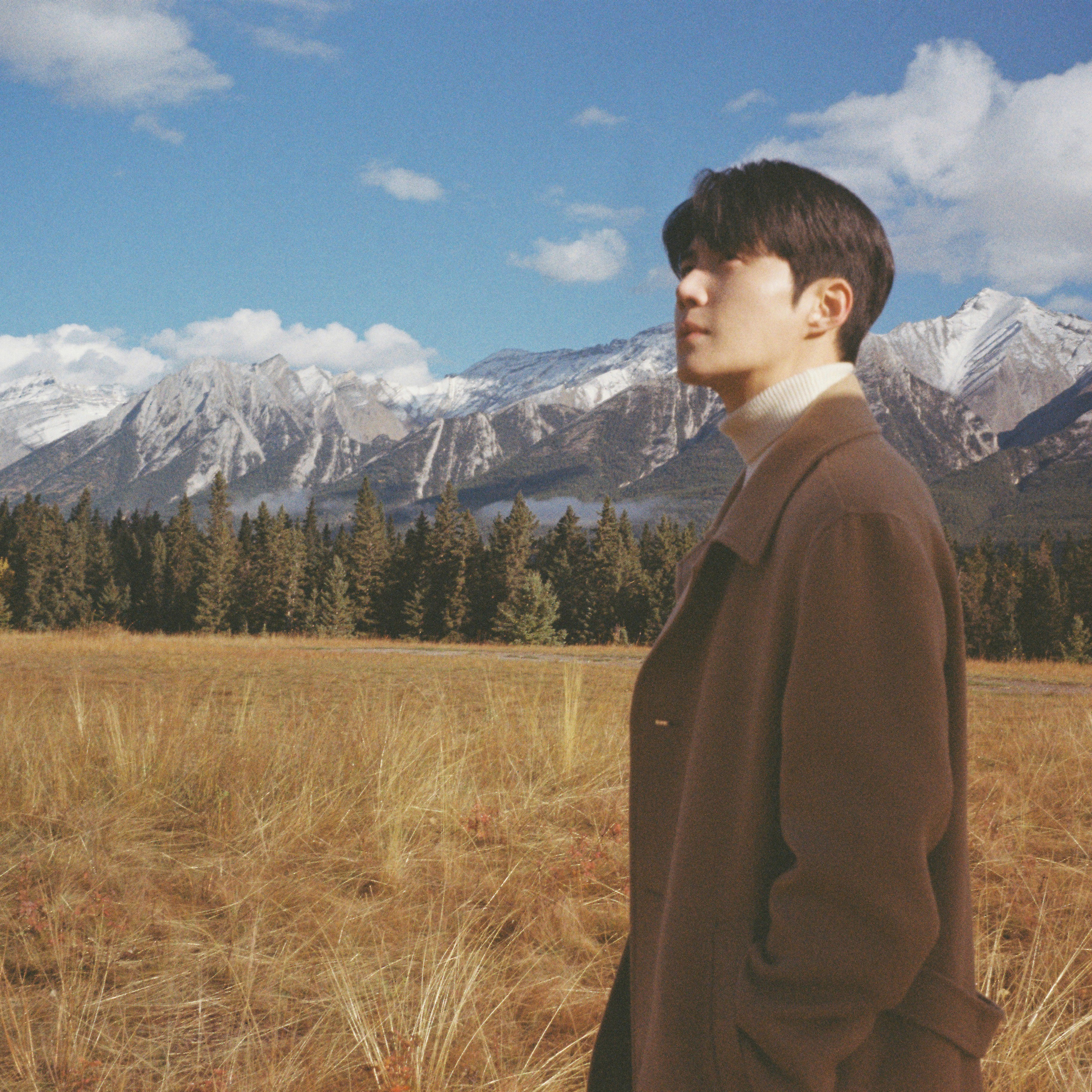 金宣虎的近期活动照