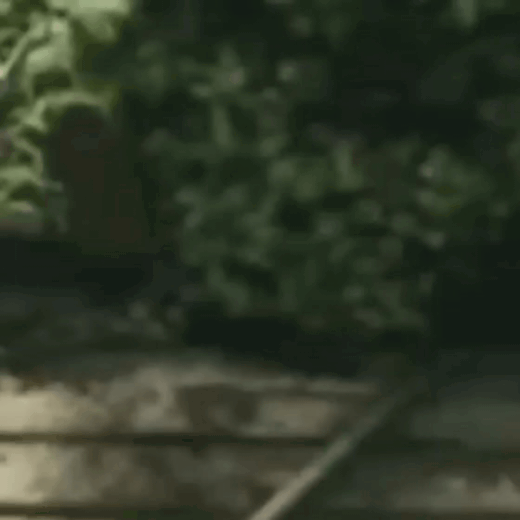 community_articles_contents