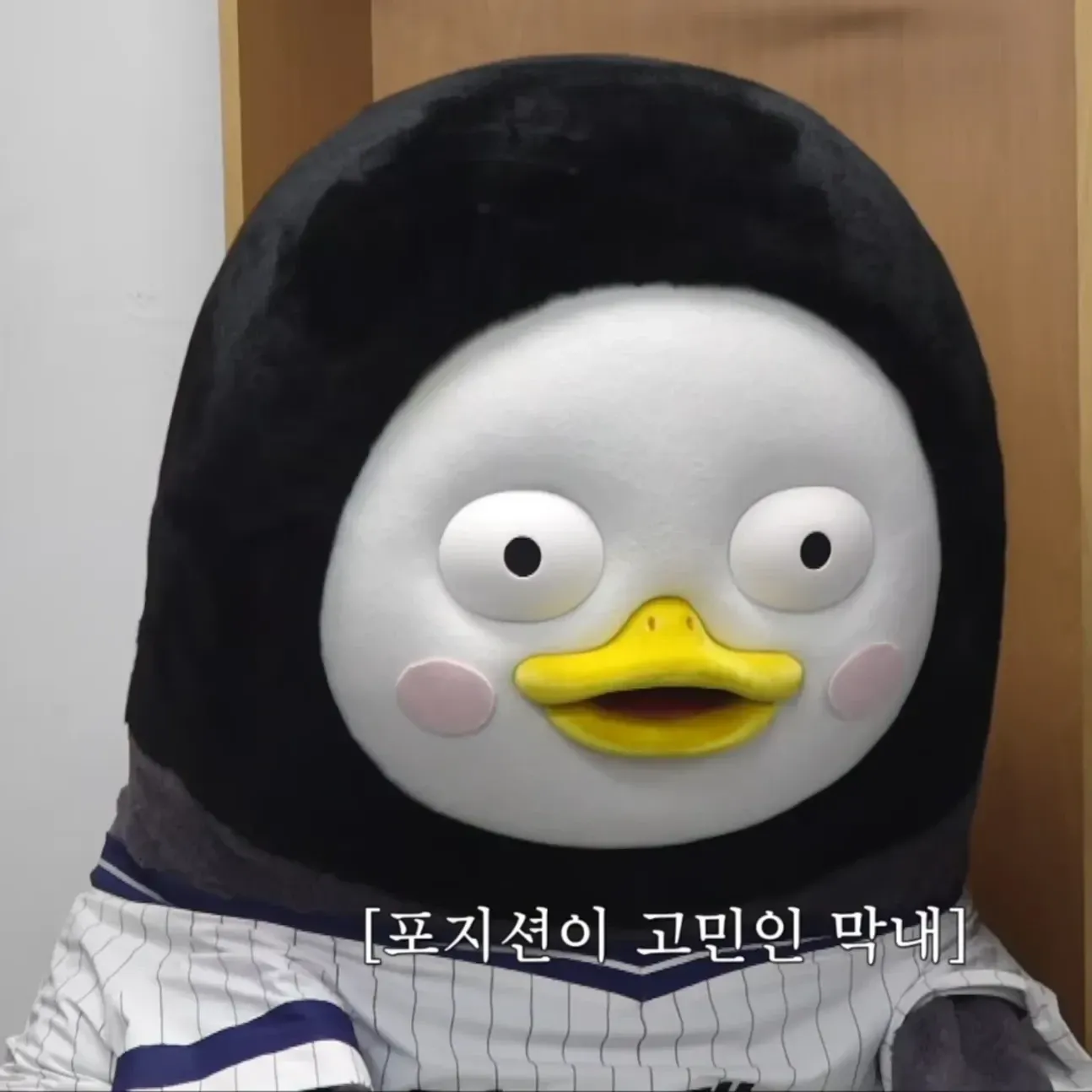 펭수 최근 활동샷