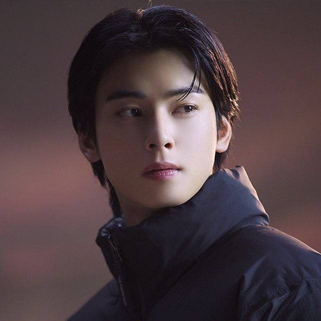 A moment captured by a fan of Cha Eunwoo