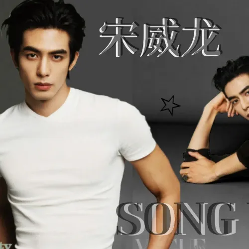 A moment captured by a fan of Song WeiLong