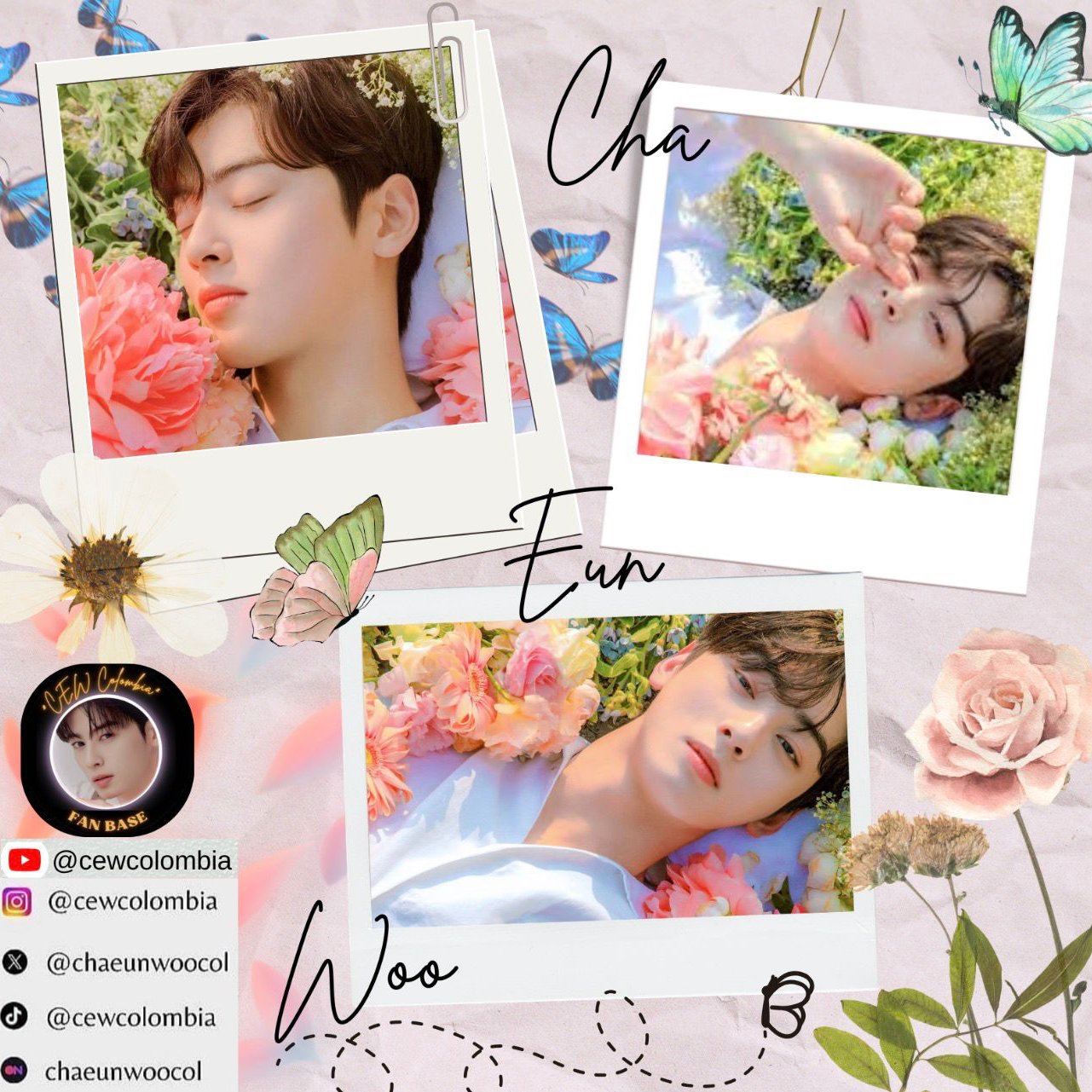 Behind-the-scenes cut of Cha Eunwoo