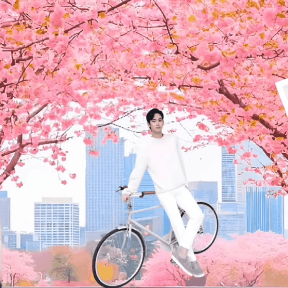 community_articles_contents