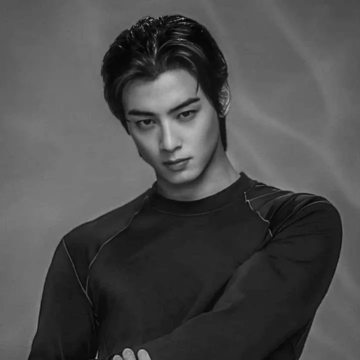 Recent activity shot of Cha Eunwoo