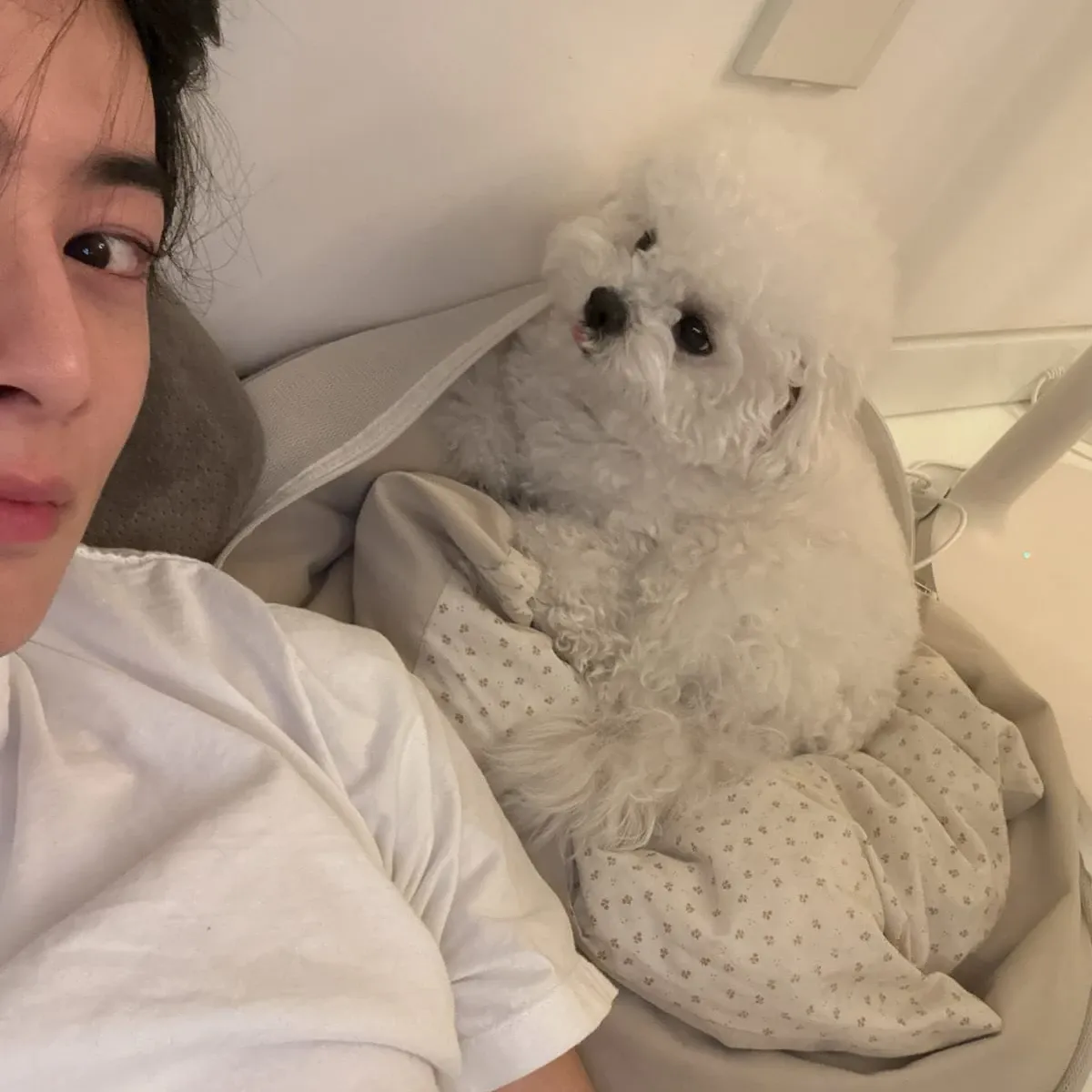 Behind-the-scenes cut of Cha Eunwoo