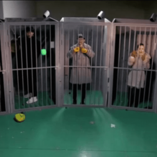 ファンが撮影したパク・ミニョンの瞬間