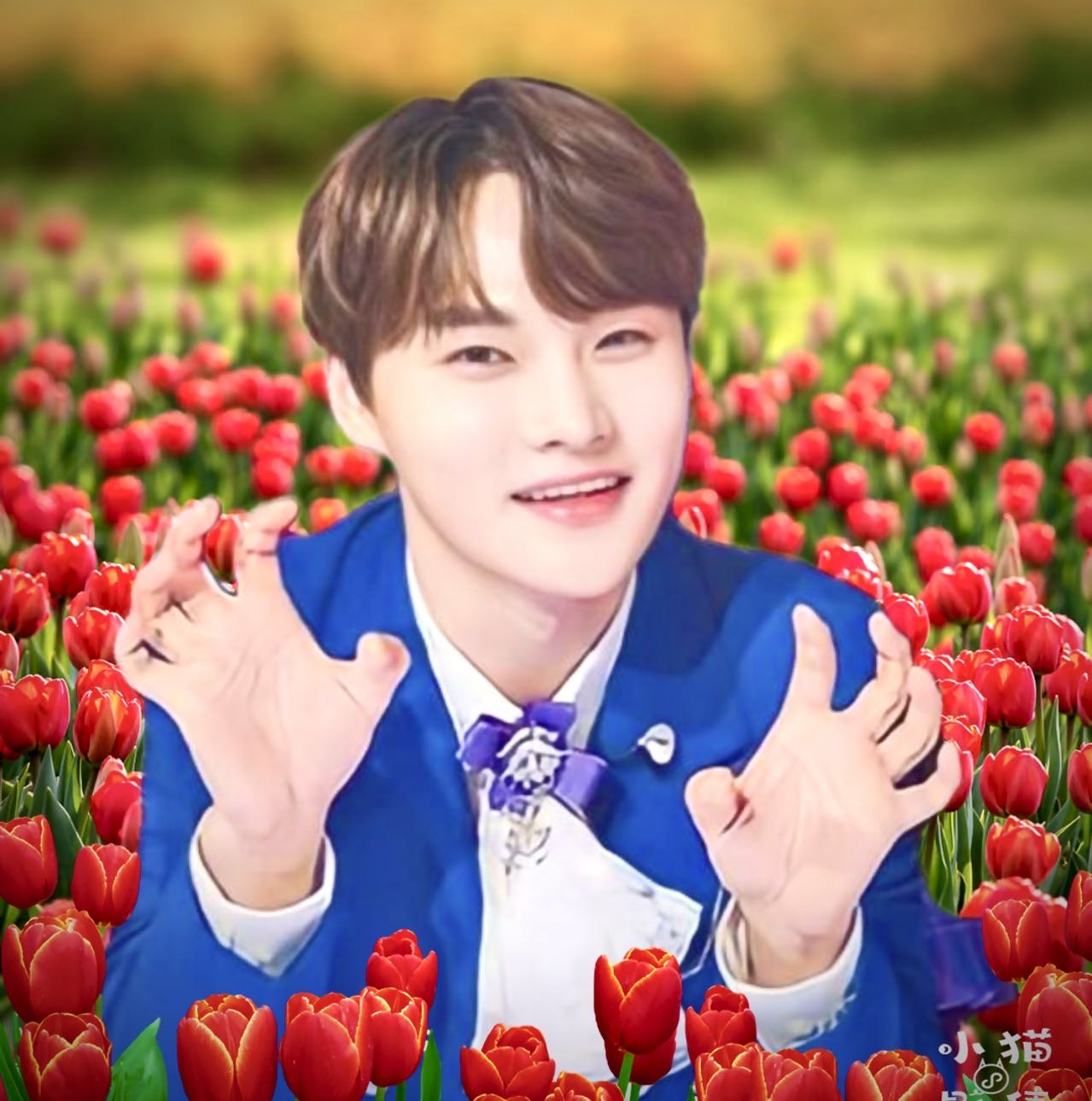 ファンが撮影したパク・ソジンの瞬間