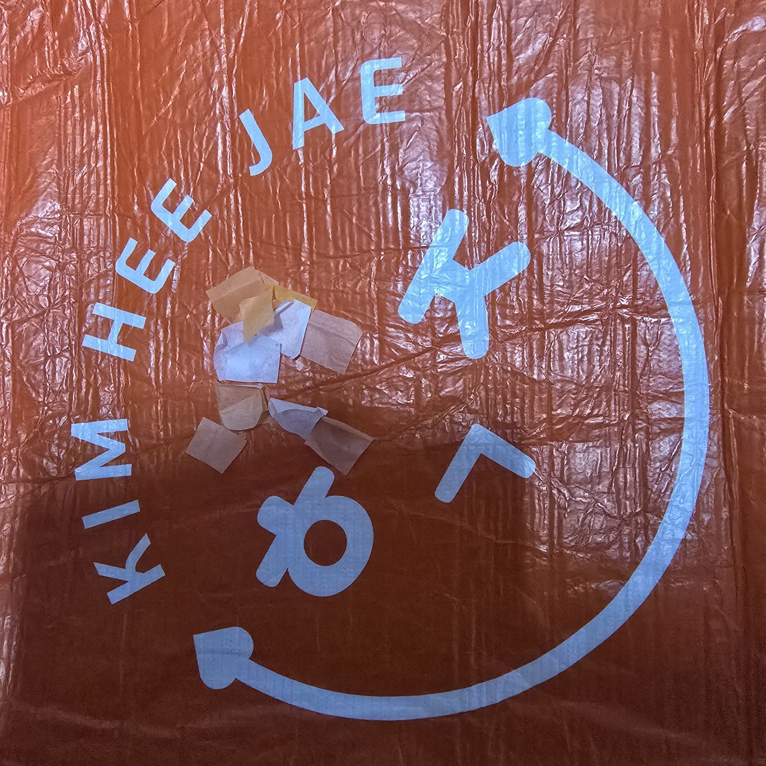 金熙栽的最新照片