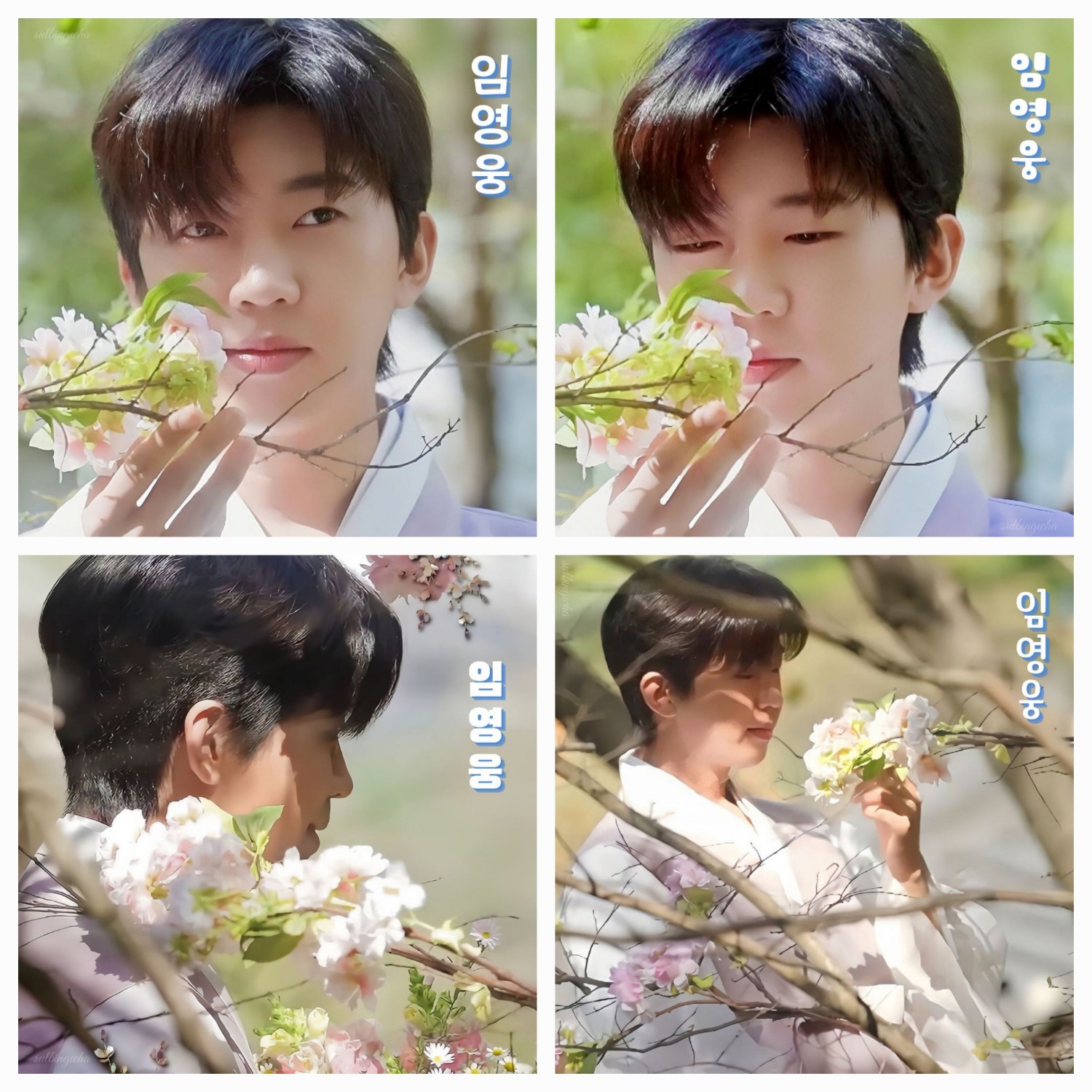 임영웅 최근 활동샷