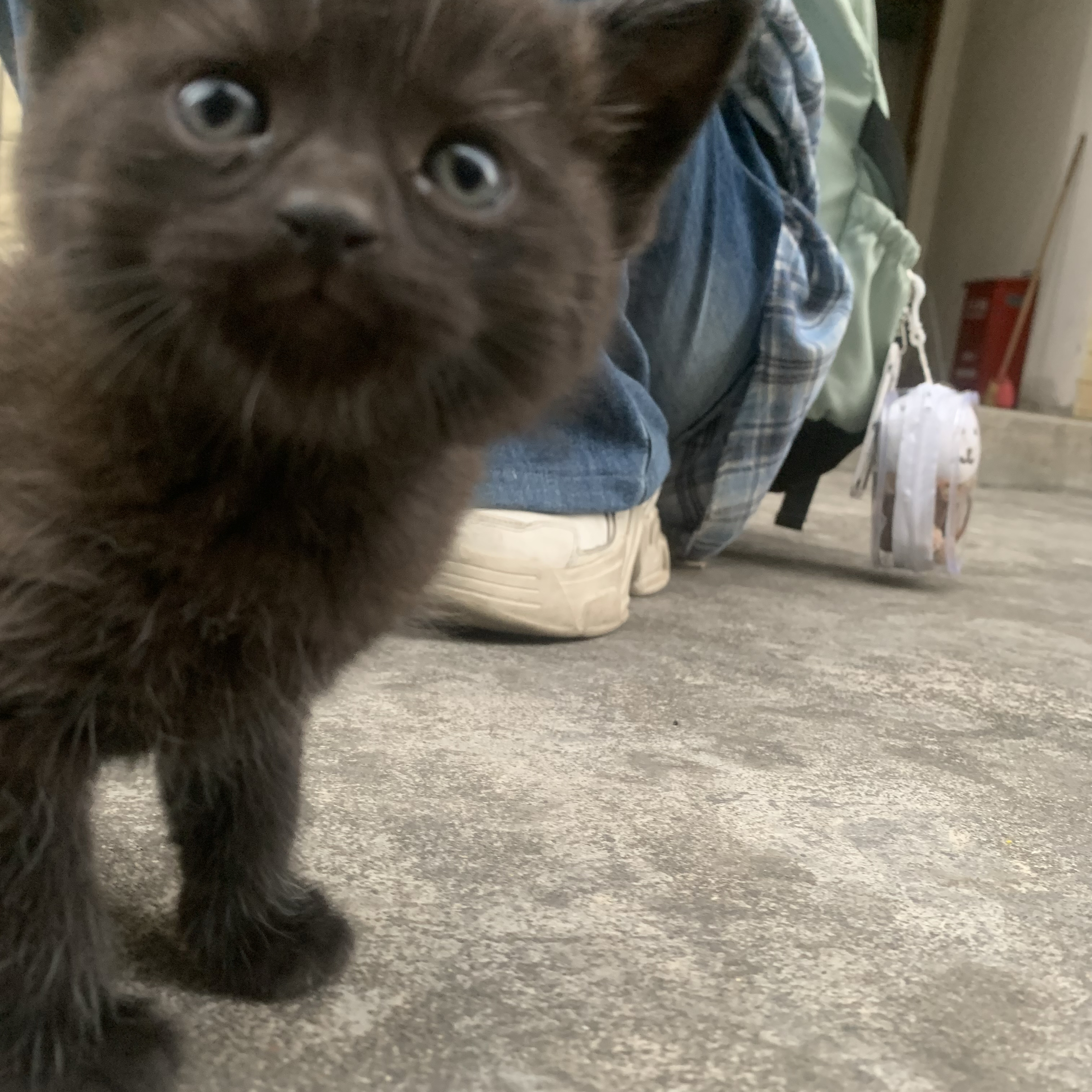 Momen yang diabadikan oleh penggemar Doh Kyungsoo (D.O.)