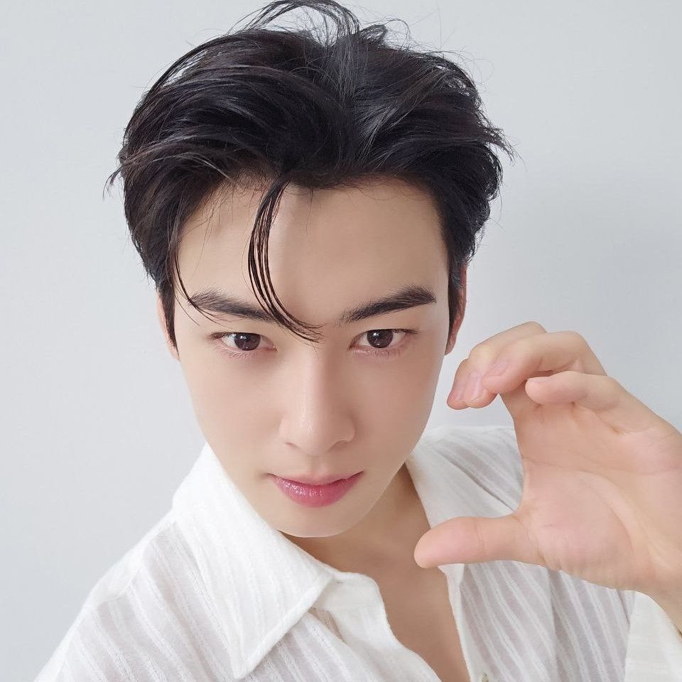 A moment captured by a fan of Cha Eunwoo