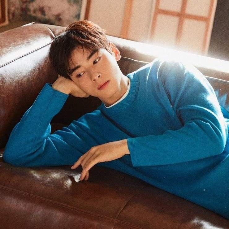 Behind-the-scenes cut of Cha Eunwoo