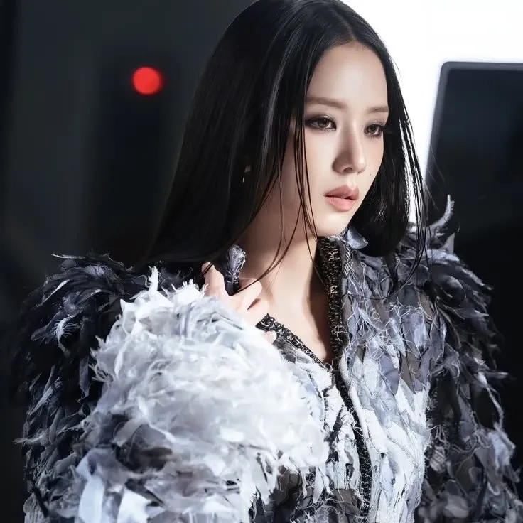 A moment captured by a fan of Jisoo (1995)