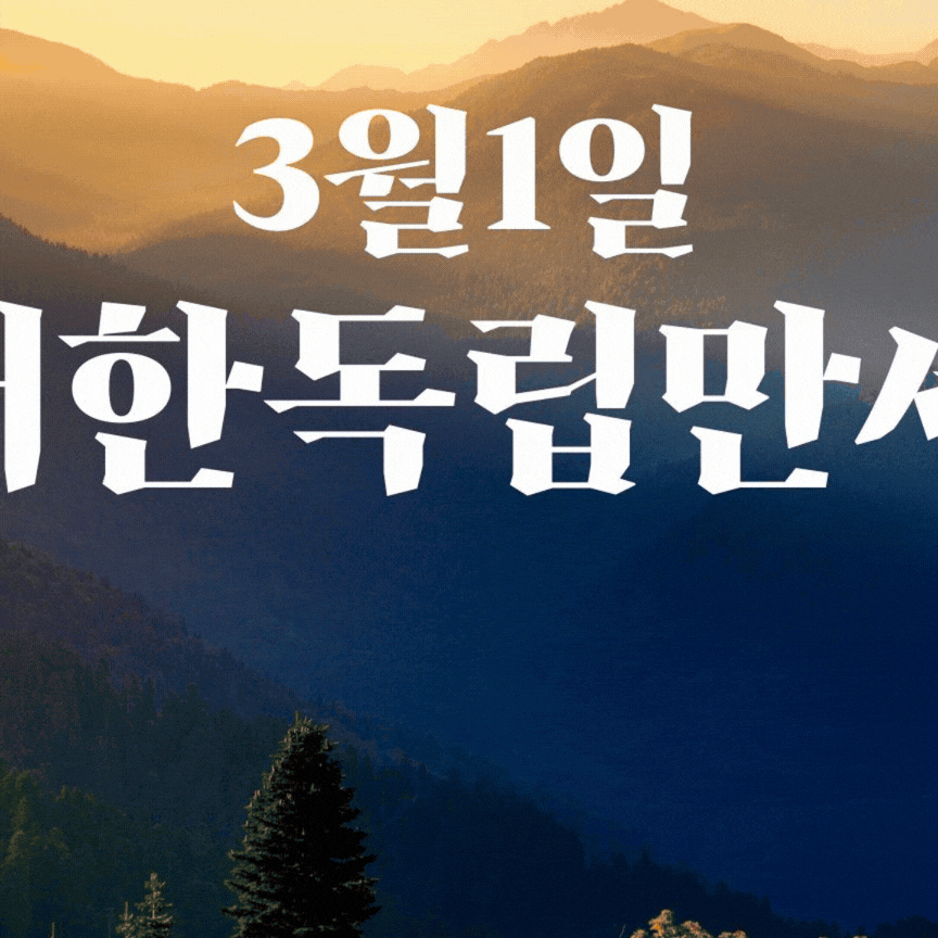 Recent activity shot of YOYOMI