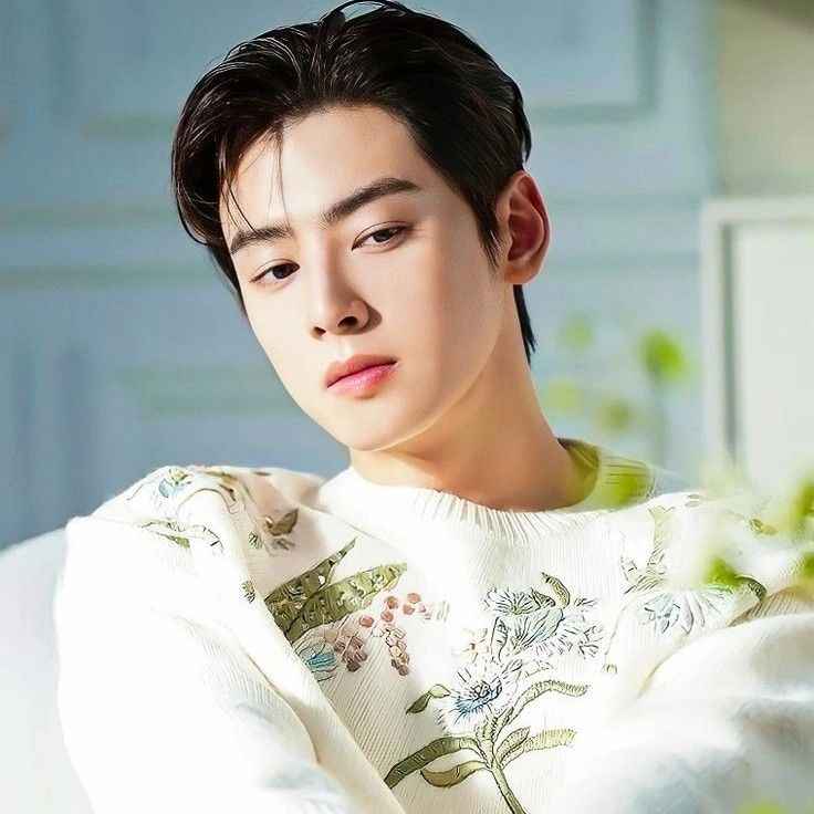 Behind-the-scenes cut of Cha Eunwoo