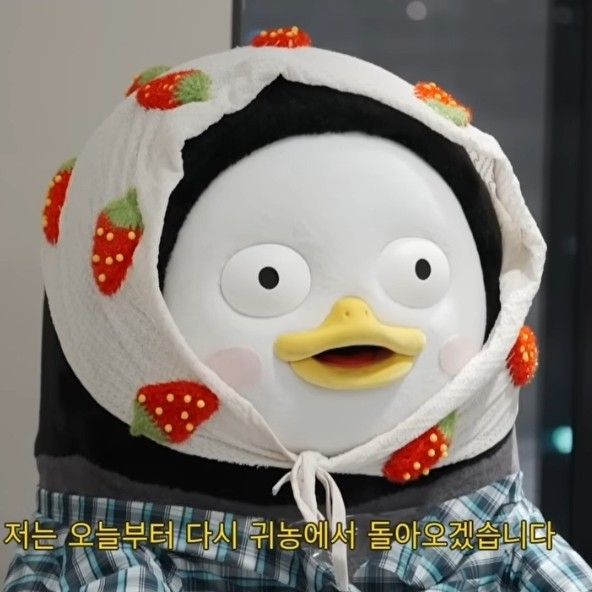 Momen yang diabadikan oleh penggemar Pengsoo