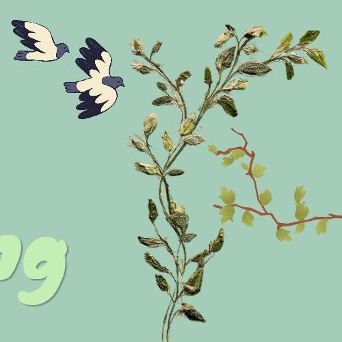 Latest photo of Park Boyoung