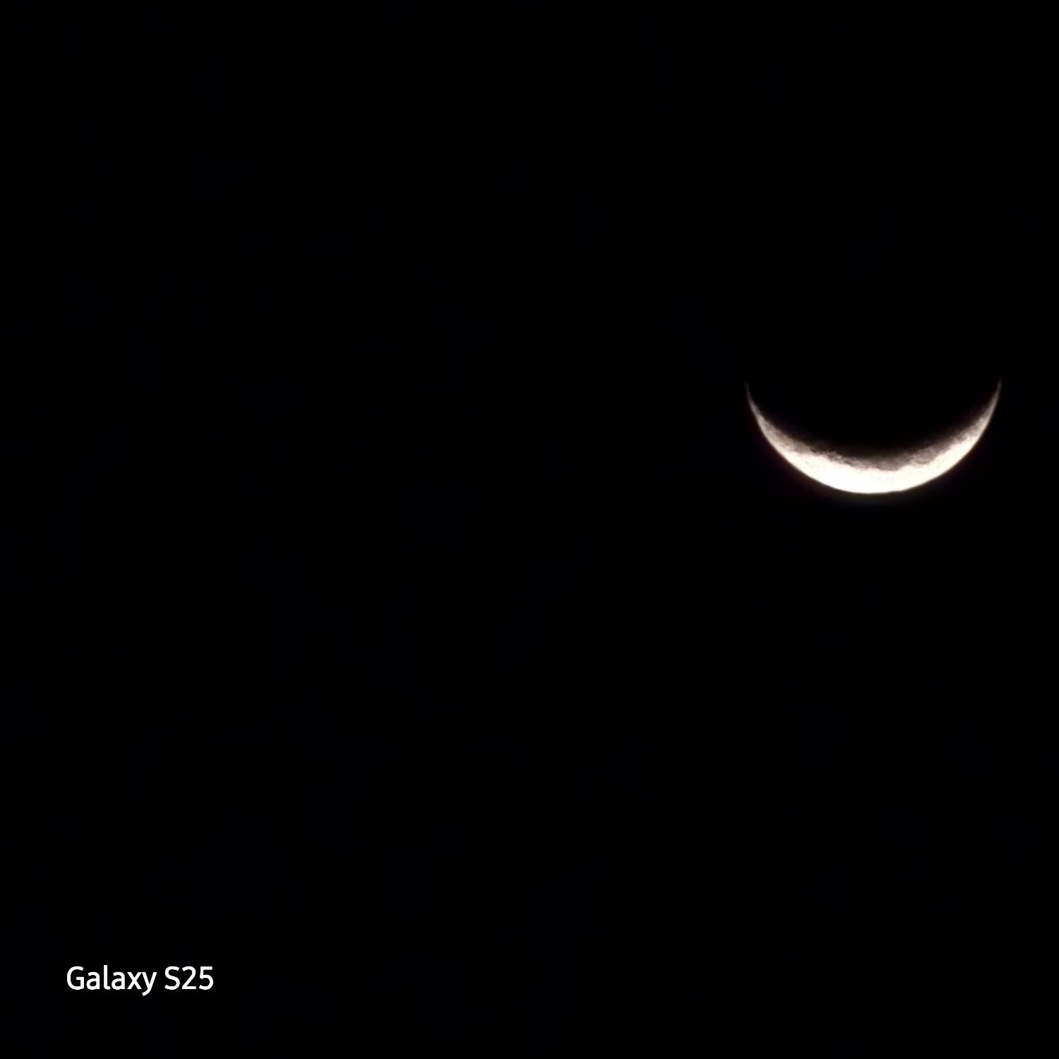 粉絲拍下的張民好瞬間