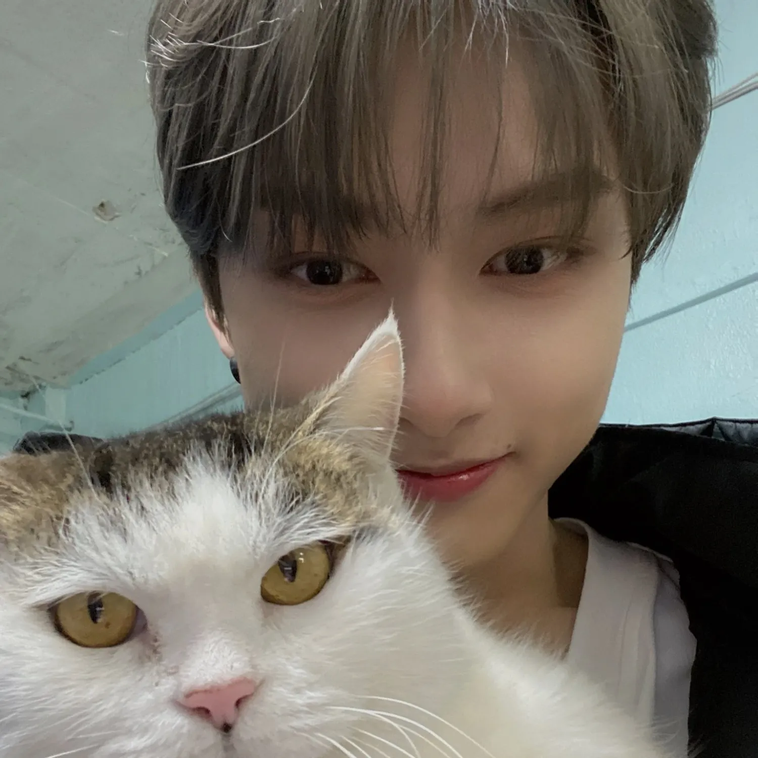 Recent activity shot of Wen Junhui