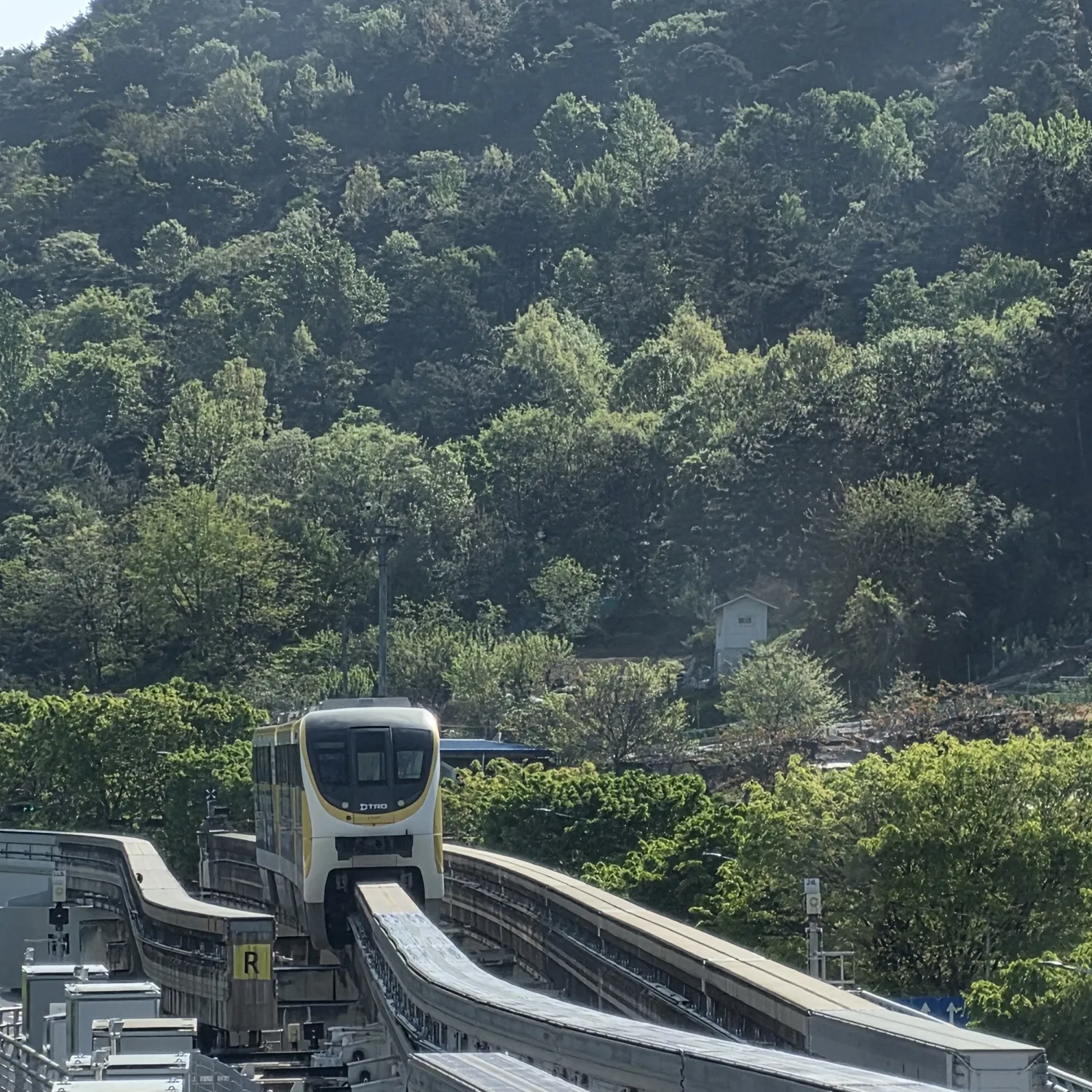 Momen yang diabadikan oleh penggemar Lee Chanwon