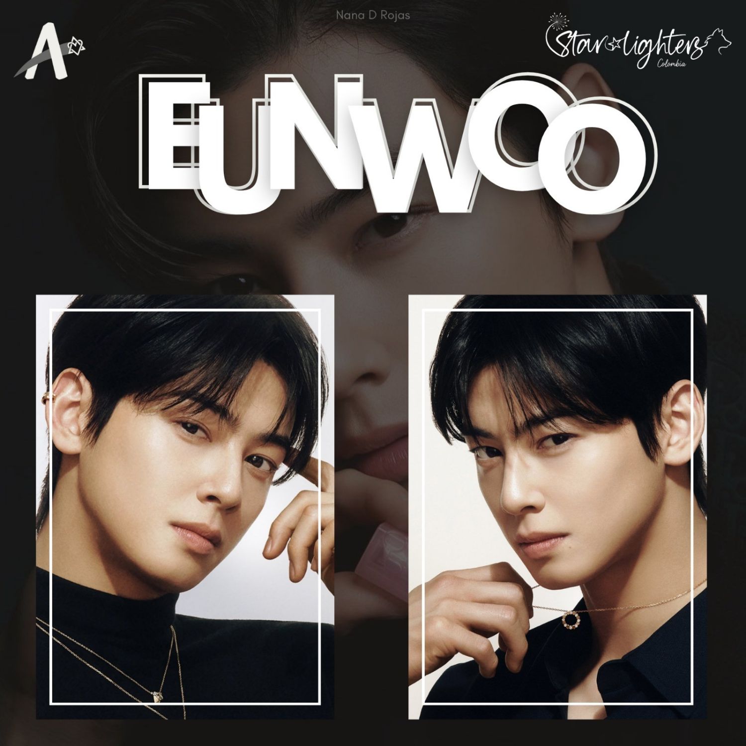 A moment captured by a fan of Cha Eunwoo