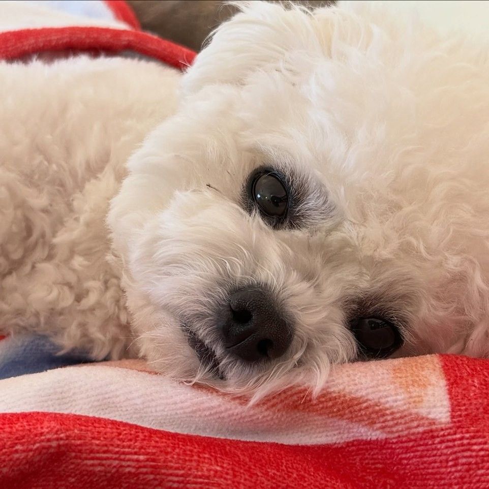 车银优的幕后花絮