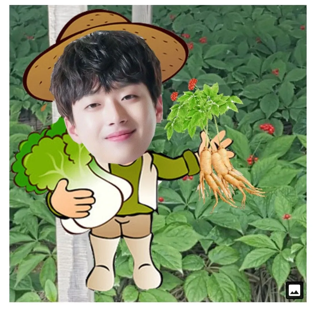 이찬원 팬이 찍은 순간