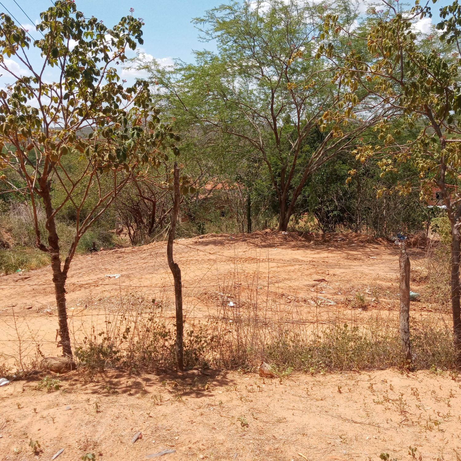 チ・チャンウクのビハインドカット