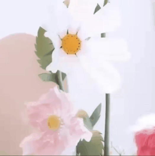 Recent activity shot of Jung Haein