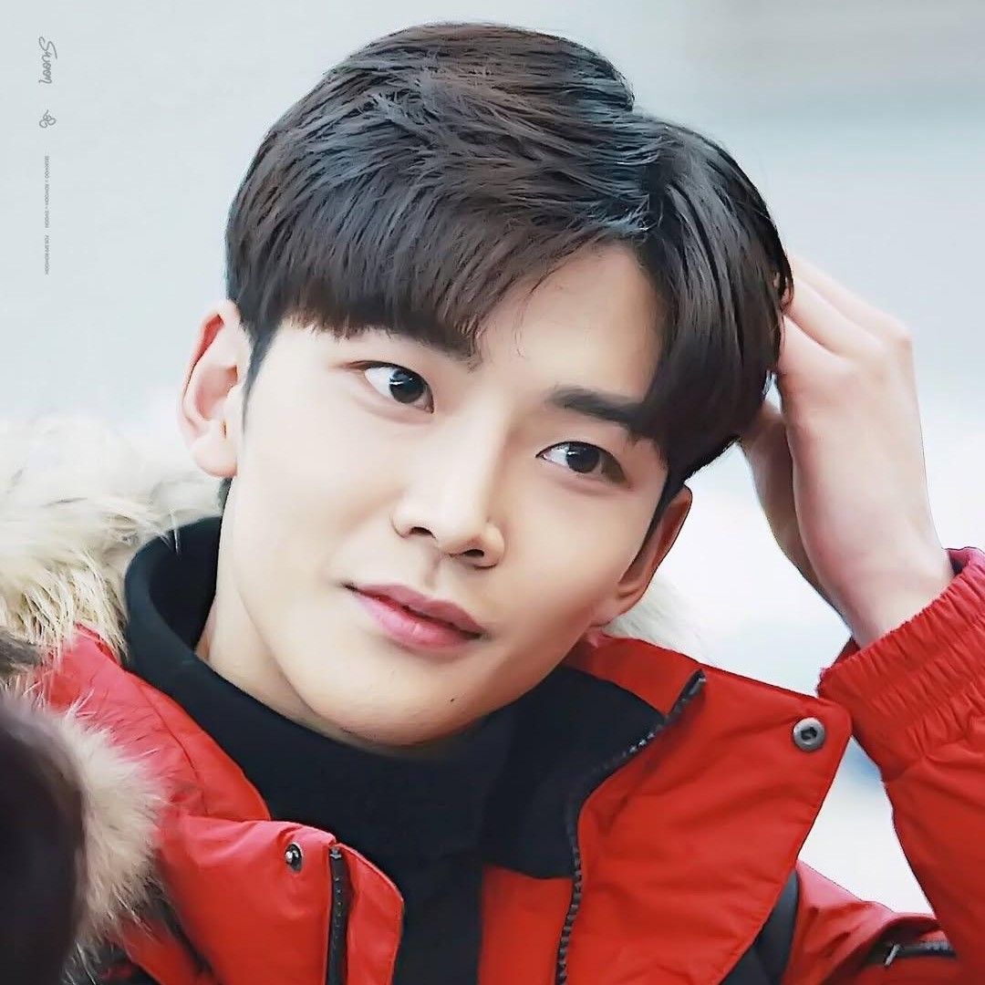 路雲的最新照片