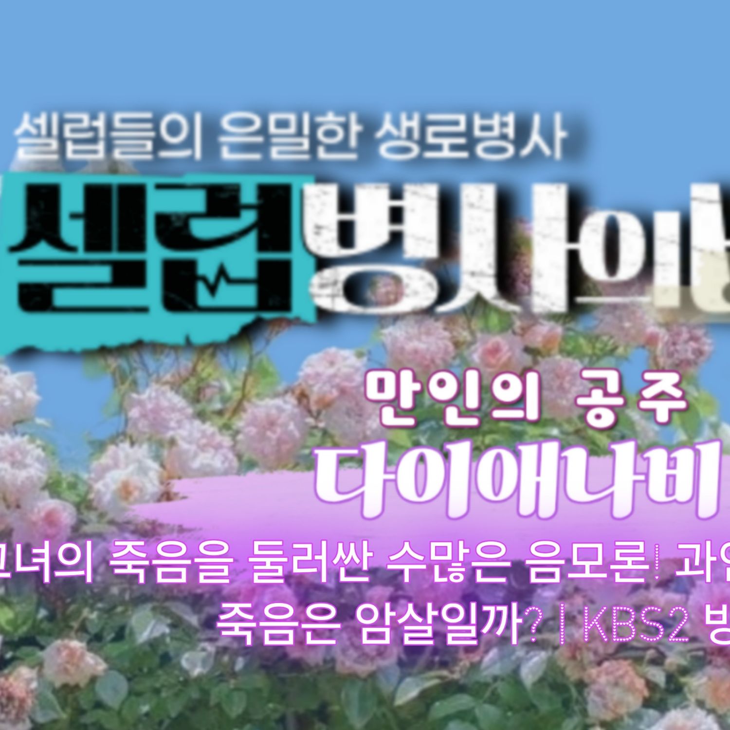 Foto kegiatan terbaru dari Lee Chanwon