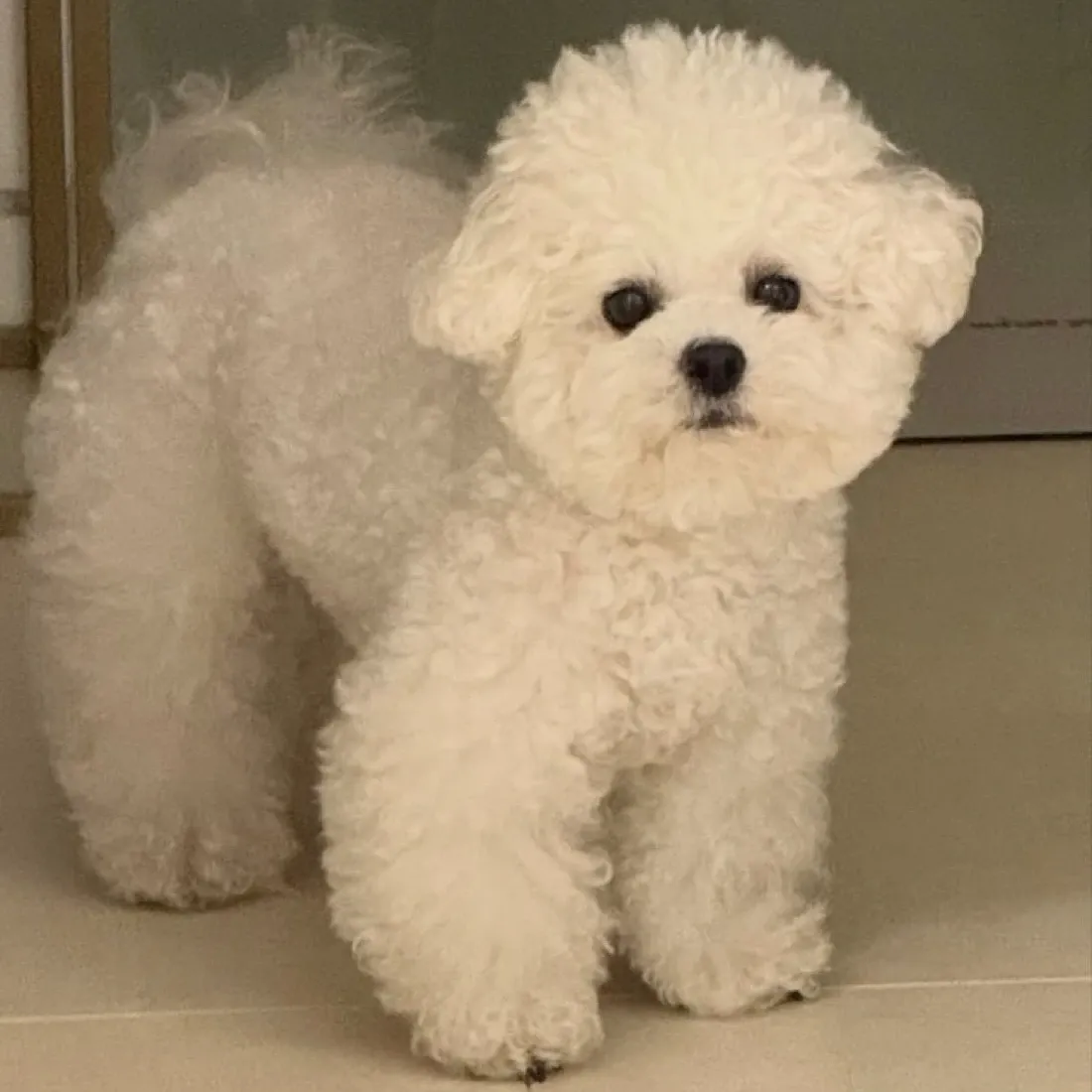 Recent activity shot of Cha Eunwoo