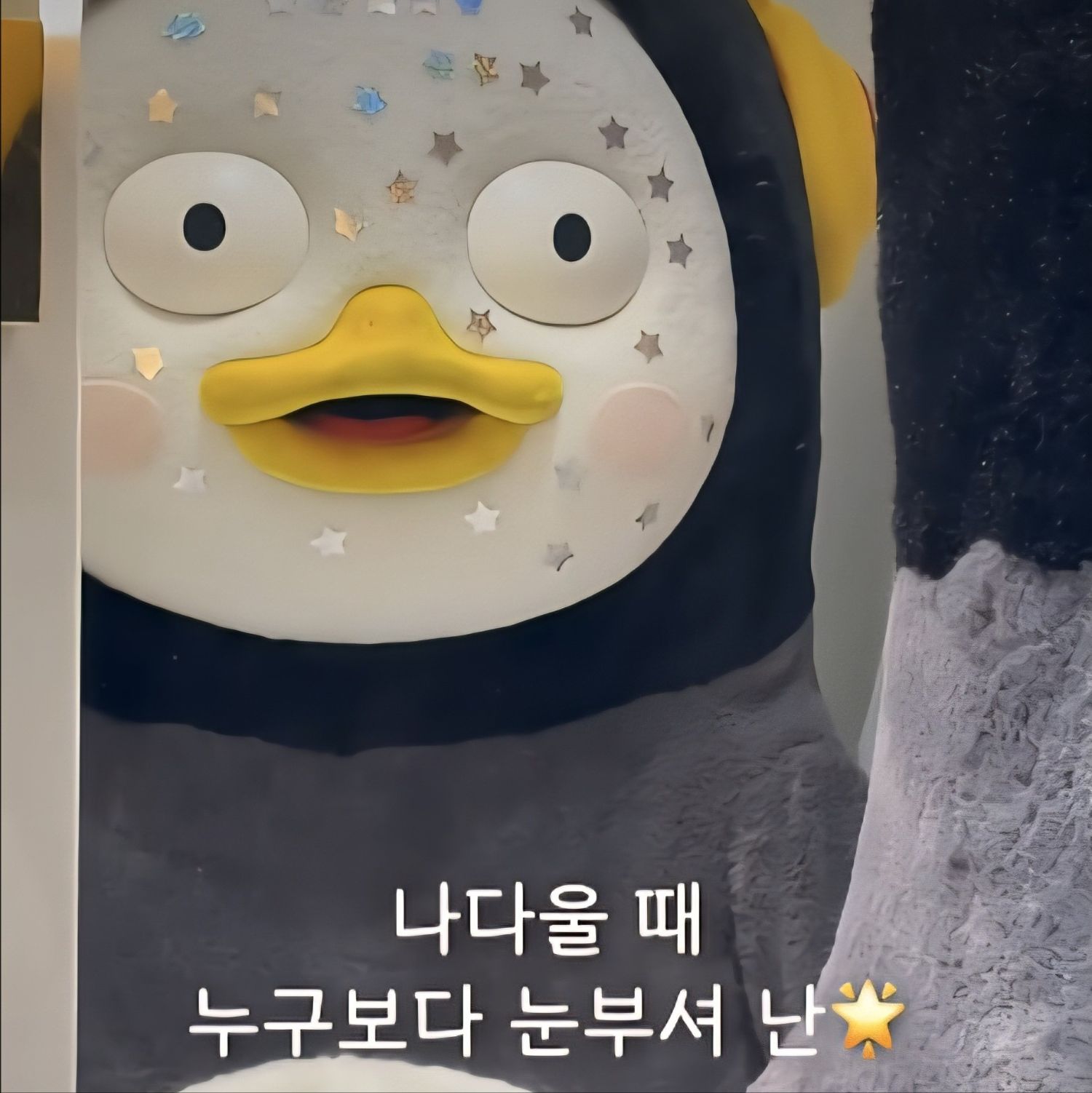 펭수 팬이 찍은 순간
