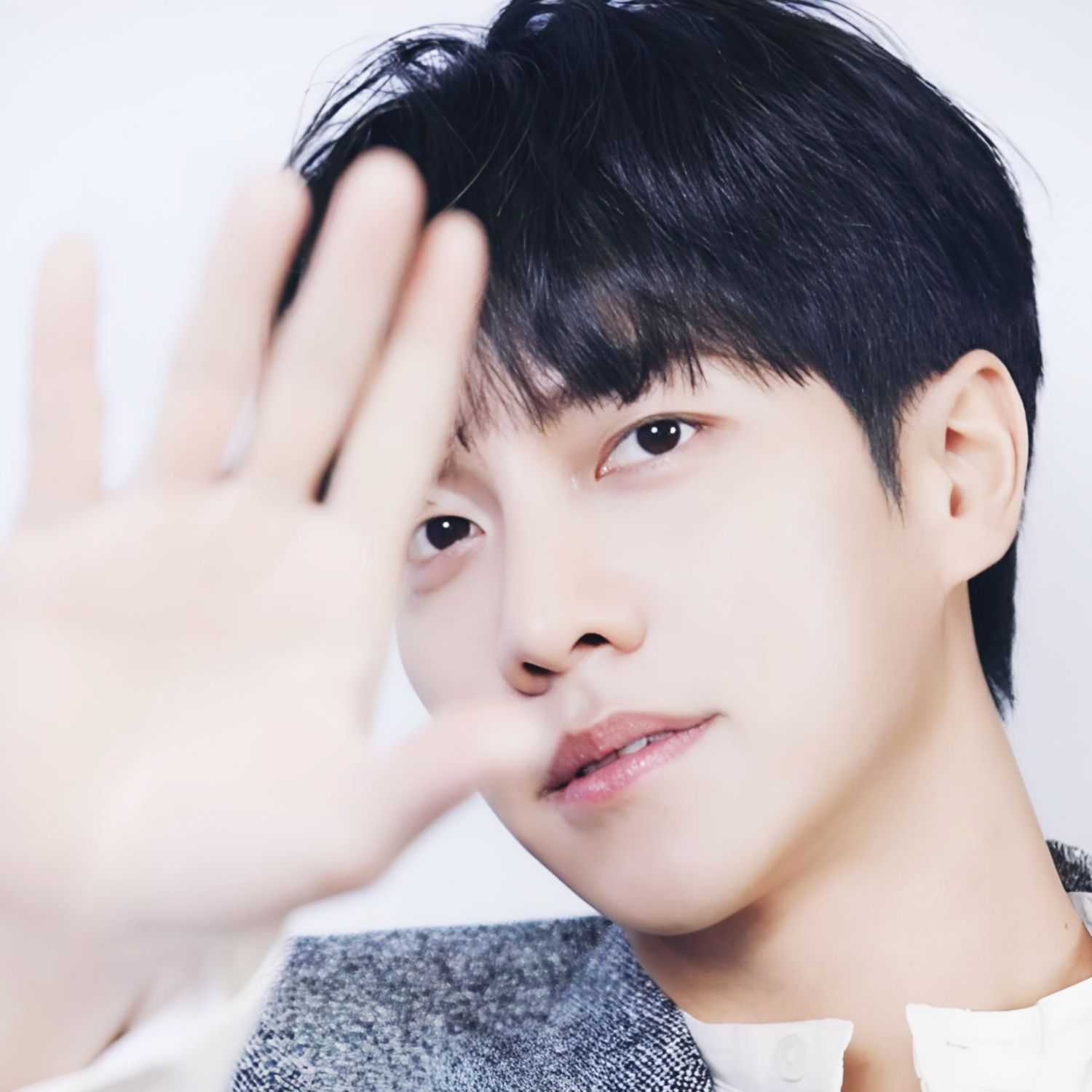 イ・スンギのビハインドカット