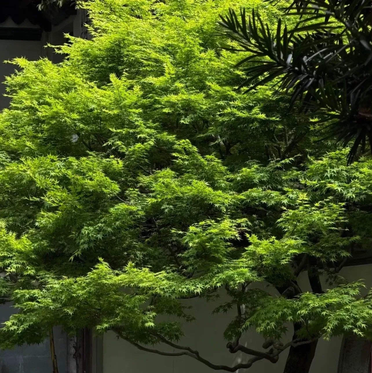 宋智孝的幕后花絮