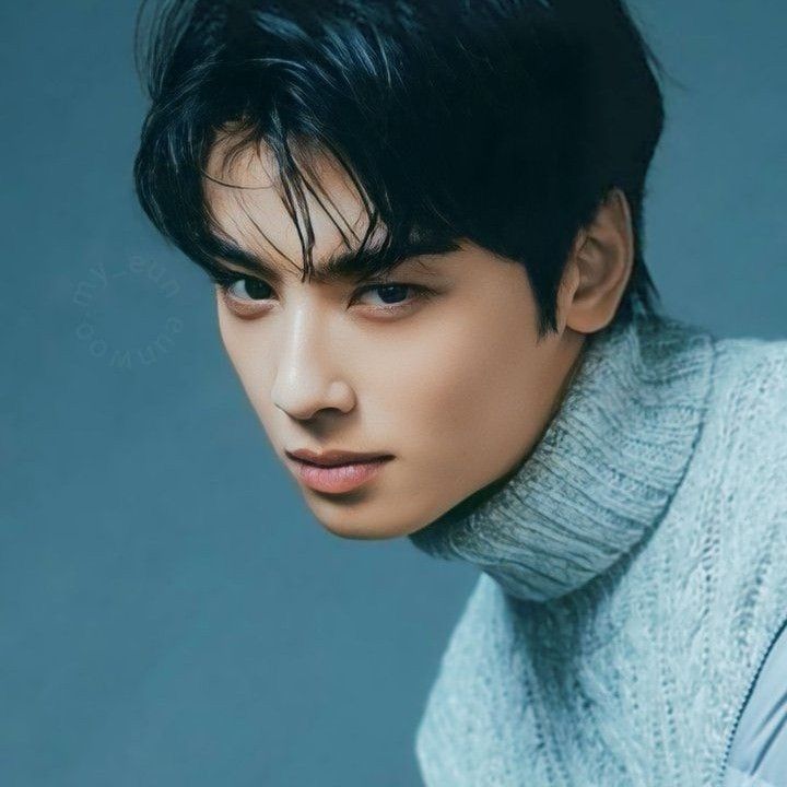 チャ・ウヌの最近の活動ショット