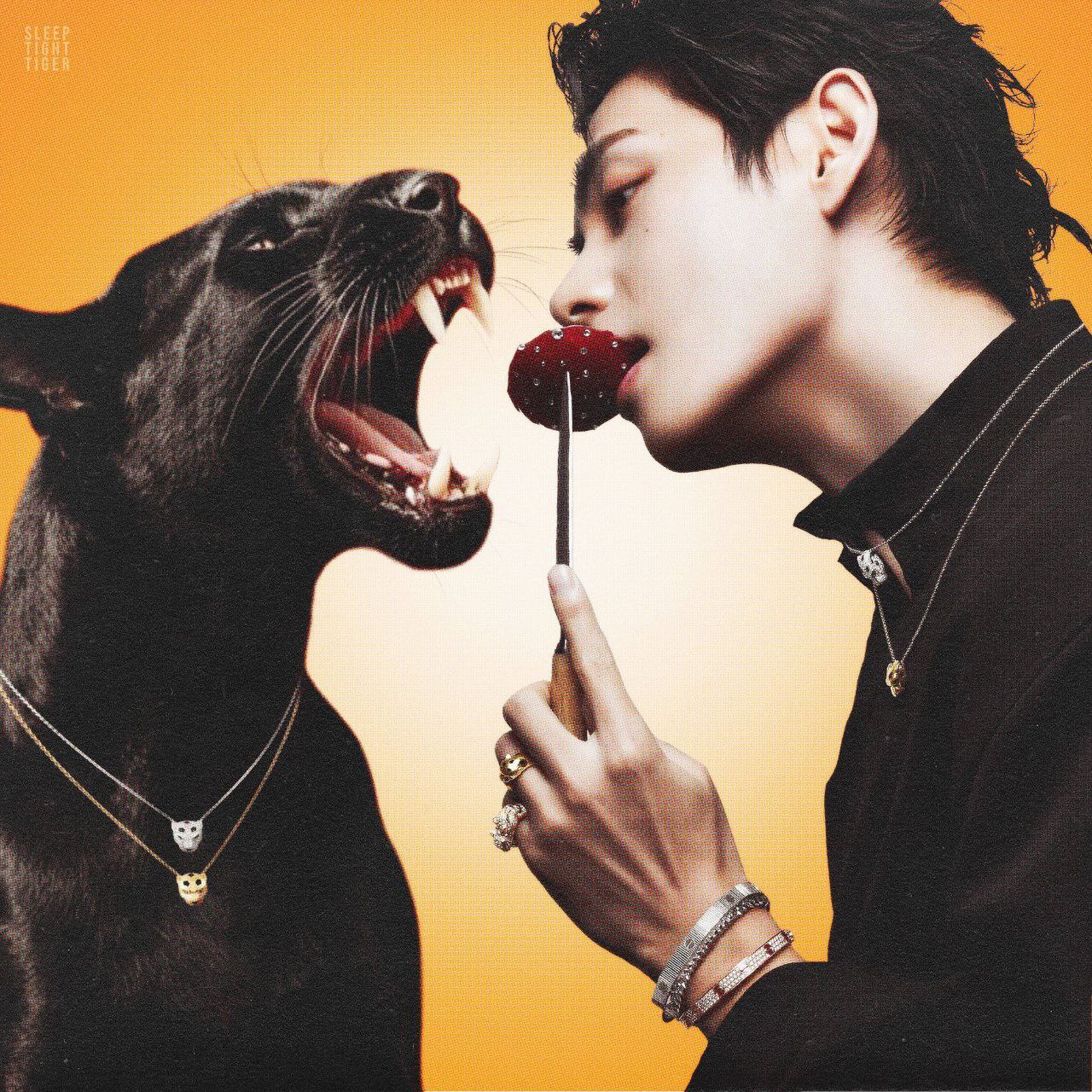 Feed komunitas selebriti terpopuler hari ini