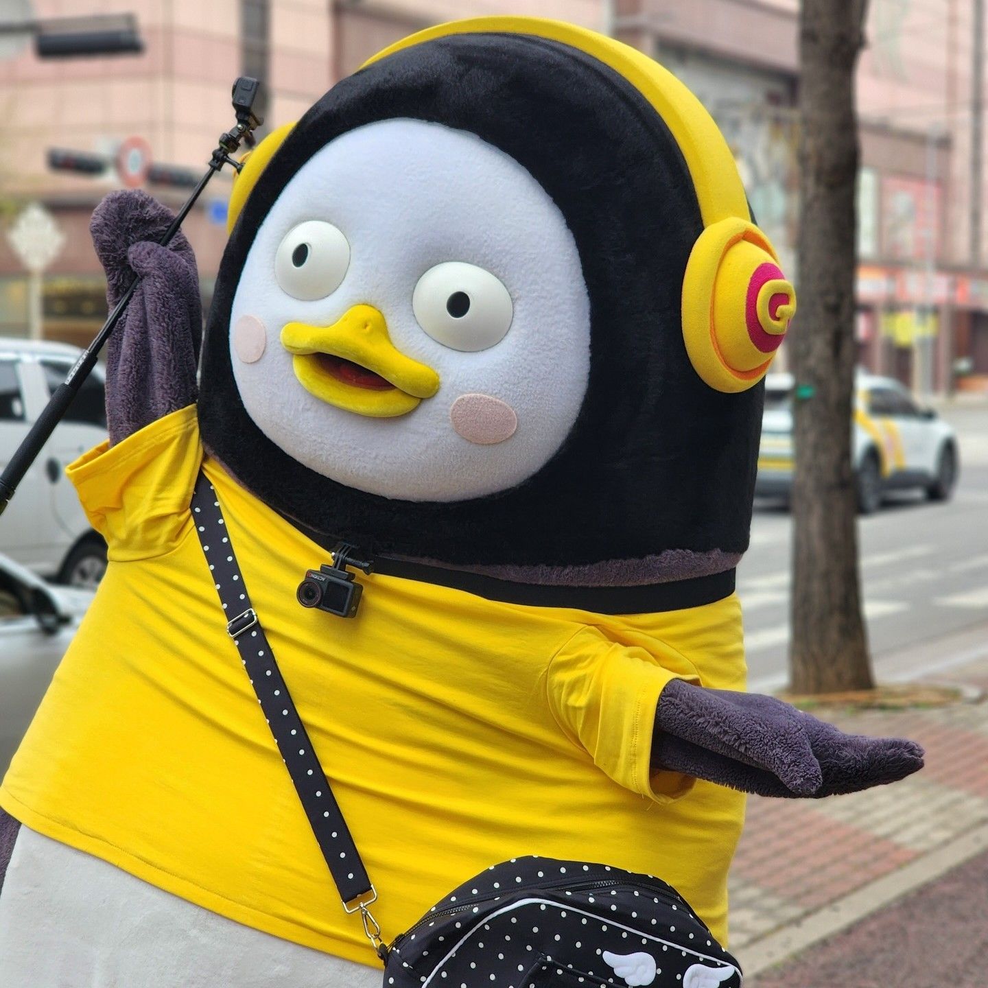 朋秀的最新照片