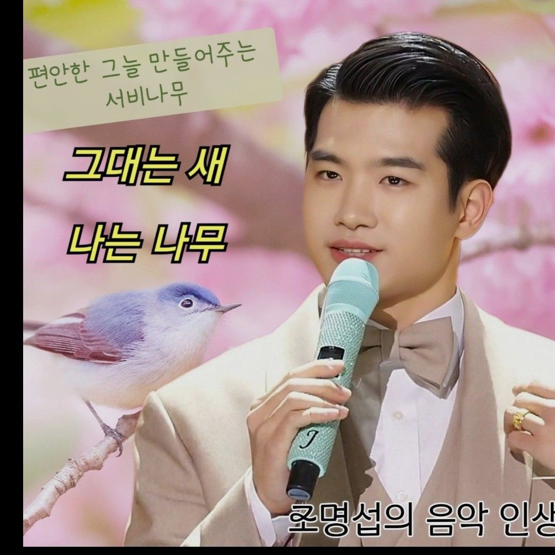 조명섭 팬이 찍은 순간