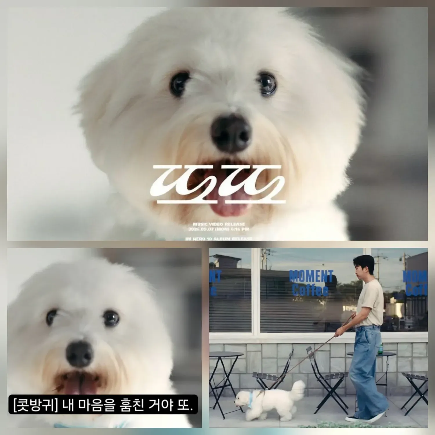 Recent activity shot of Lim Youngwoong