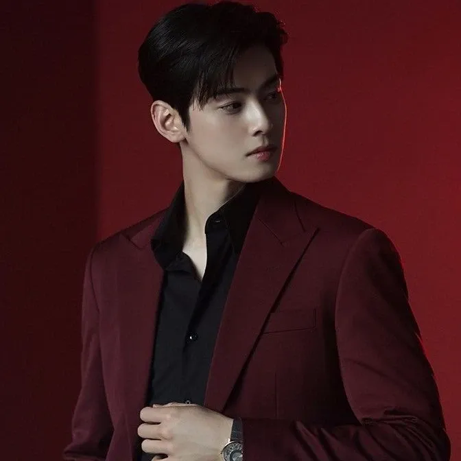 A moment captured by a fan of Cha Eunwoo