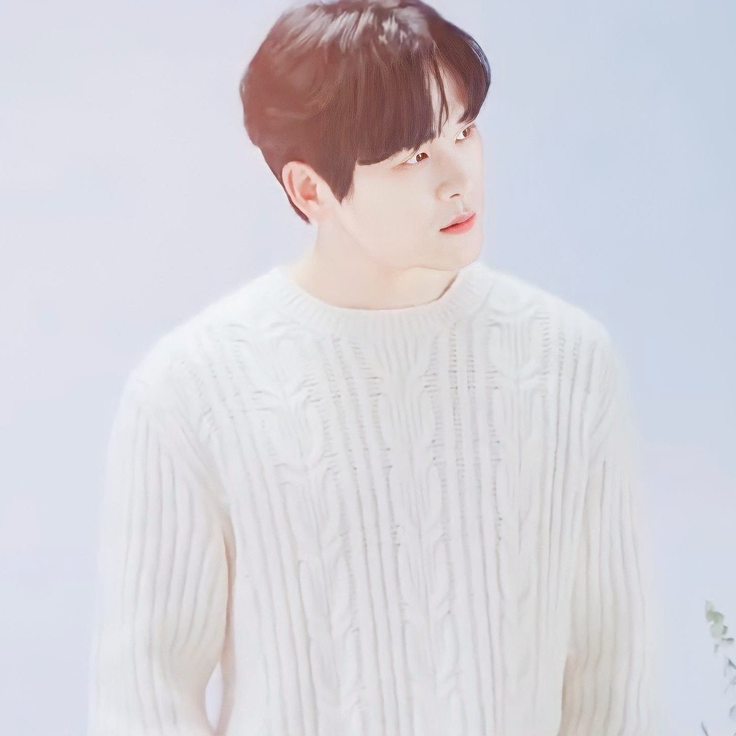 A moment captured by a fan of Hoya