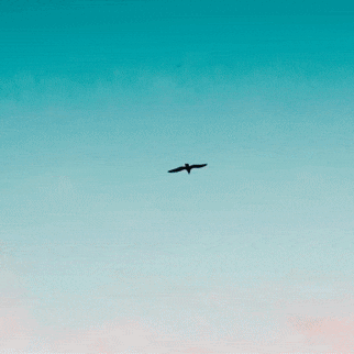 玄彬的幕後花絮