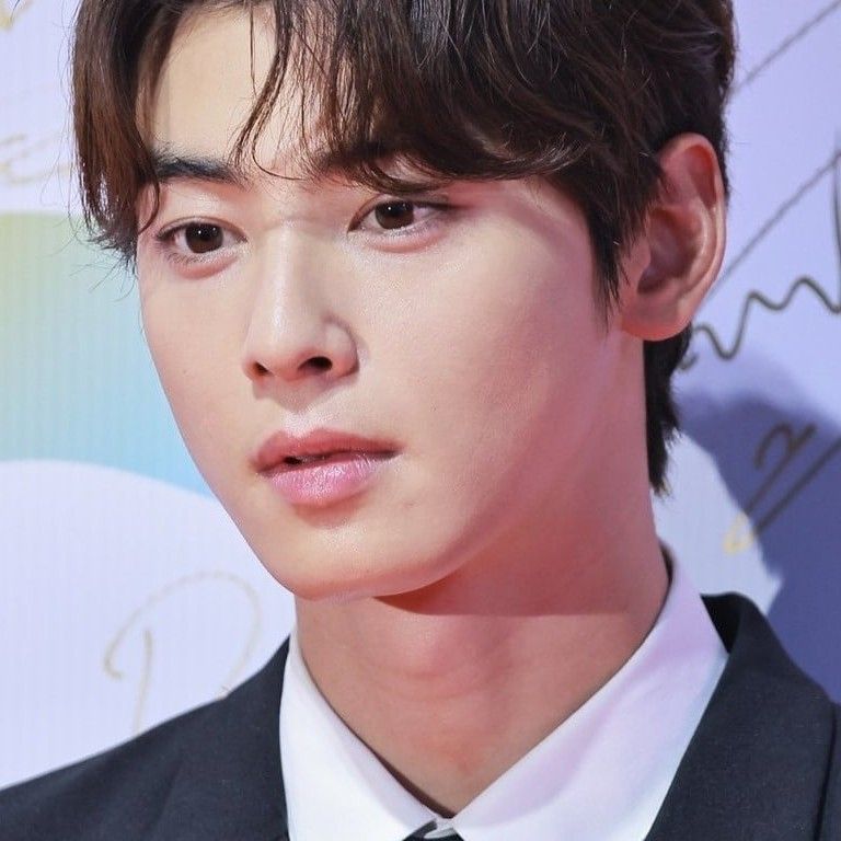 Behind-the-scenes cut of Cha Eunwoo