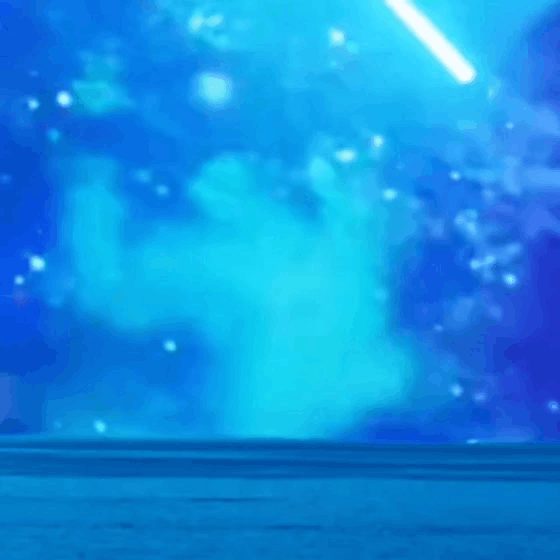 金秀贤的最新照片