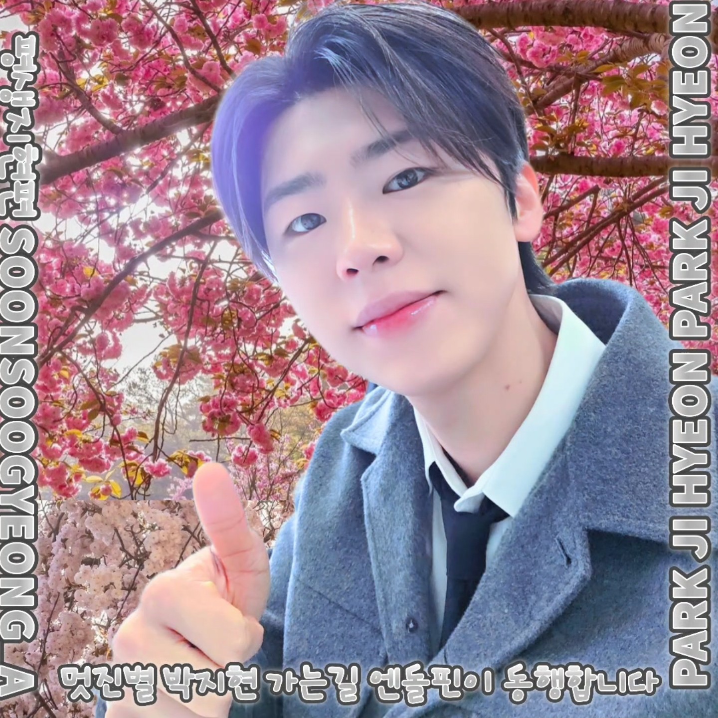 팬들이 사랑한 인기 셀럽 게시글