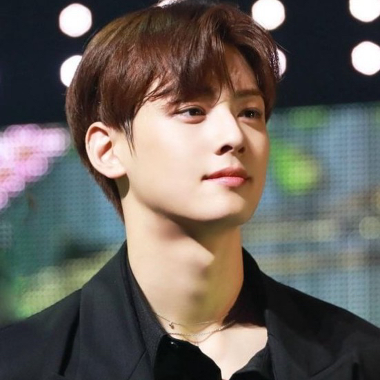 A moment captured by a fan of Cha Eunwoo